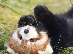 -红跑车(大学城店)