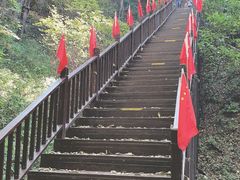 -天女山森林公园