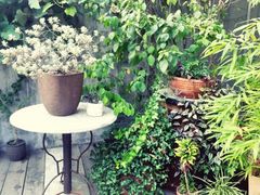 -时光花园(白鹭洲店)