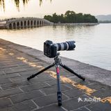 用了便捷稳固的劲捷海岳C83三脚架,轻松Get理想大片