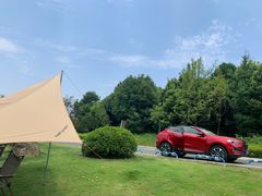 -铁山坪森林公园