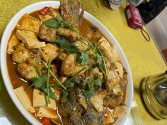 -煲来饱去冷水鱼