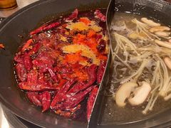 -朱光玉火锅馆(正弘城店)