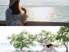 -宝安西湾红树林湿地公园