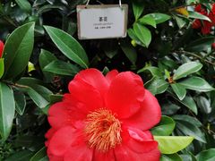 -广州市白云山风景名胜区