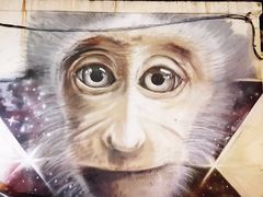 -槟城街头艺术街区