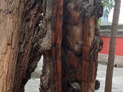 -妙应寺白塔