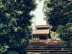 -活水公园