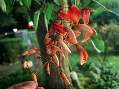 -竹海听涛生态山庄