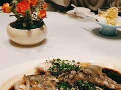 -樽宴酒楼·地道川菜·品质宴请