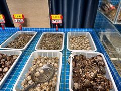 -韩记海鲜饺子旗舰店(红海新区店)