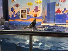 -太平洋海底世界