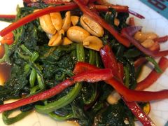 -寂寞的豆芽(龙泽路店)