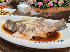 -胖大姐黄辣丁鱼庄(新津店)