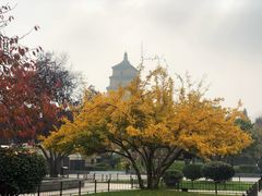 -大雁塔北广场音乐喷泉