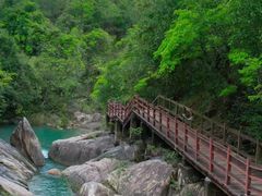 -广州白江湖森林公园