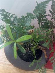 -AIST爱思特医疗美容医院