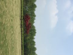 -东华大学(松江校区)