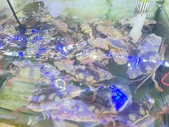 -星奇缘·海鲜餐厅(东山美食地标店)