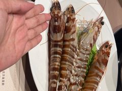 -協成海鮮火鍋(老店)