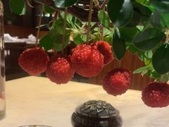 -唐猫庭院·千年陕菜(大唐不夜城店)