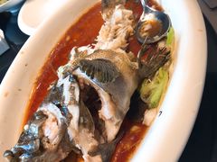 清蒸老虎斑-徐记海鲜(汉城湖|太奥店)