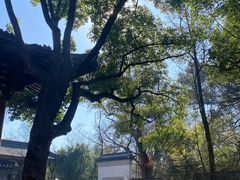 -西湖风景区十里琅珰-五云山