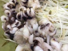 芥末海菊花-贞姨美食·老字号海鲜大排档