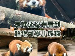 -普洱太阳河森林公园