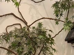 -耳艺采耳·足疗(市桥店)