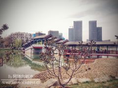 -西海子公园