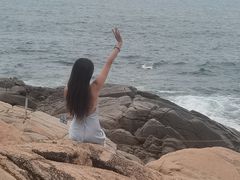 -广东惠东海龟国家级自然保护区