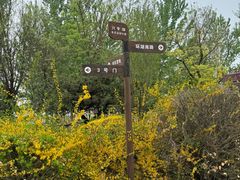-兴安湖生态运动公园