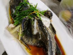 -四川小胡子海鲜(丁村万人海鲜广场店)