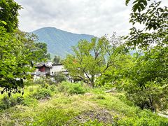 -塔川景区