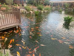 -大门水乡·顺德菜