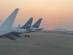 -厦门高崎国际机场-T3航站楼