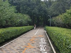 -古塔公园
