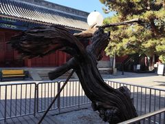 -大钟寺古钟博物馆