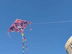 -滨州铁路桥
