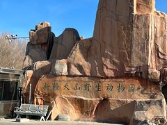 -新疆天山野生动物园