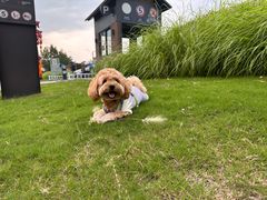 -西安汉城湖景区