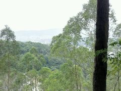 -火炉山森林公园