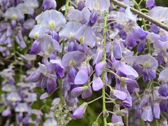 -大钟寺古钟博物馆