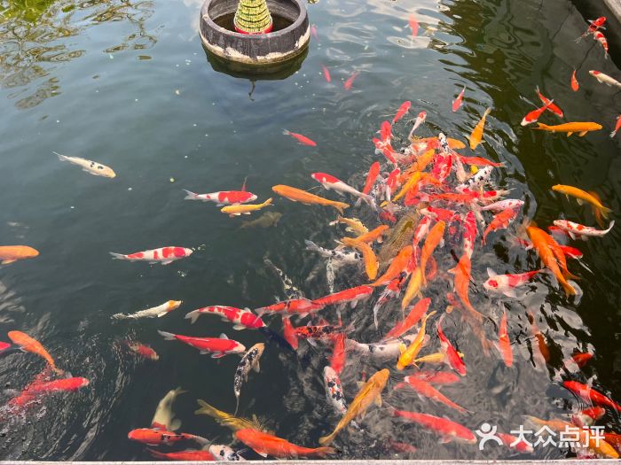 光孝寺图片