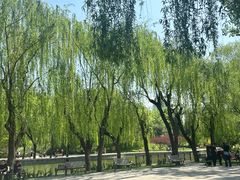 -团结湖公园
