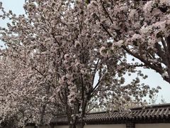 -河间府署