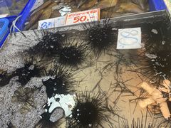-芭提雅海鲜市场