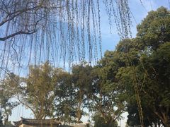 -上海美帆帆船露营基地