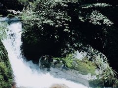 -炎陵县神农谷国家森林公园
